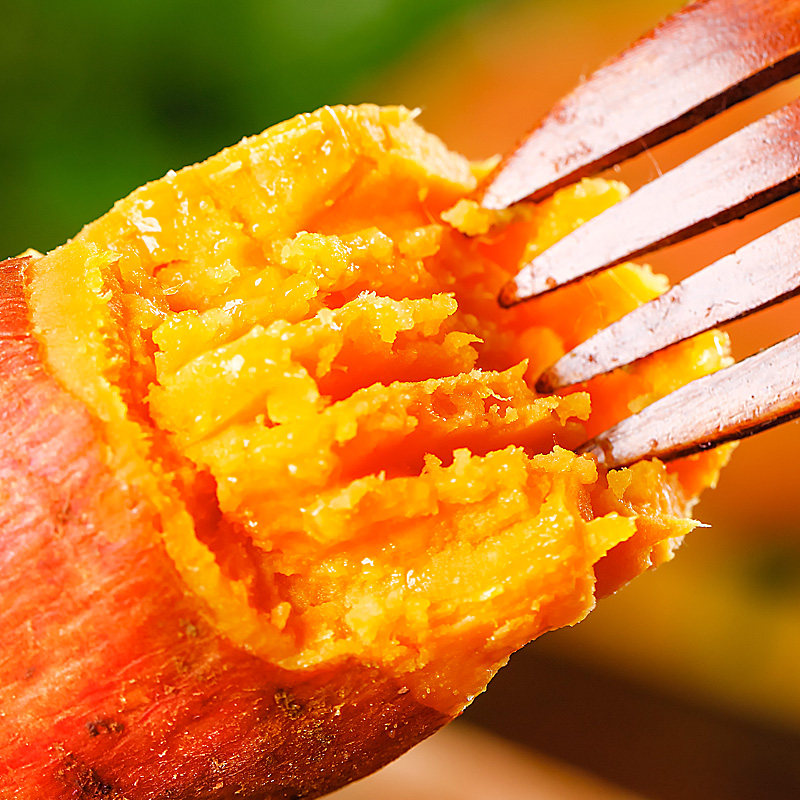 六鳌蜜薯沙地10斤烤番薯新鲜红薯 沁枝番薯