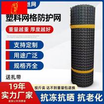 Plastic Mesh Grid Protection Nets Breeding Nets Chicken Fencing Nets Vegetable Garden Fence Isolation Net Home Circle Cornnet Outdoor