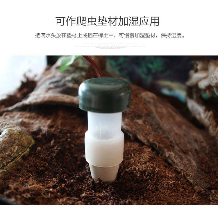 宝龙爬虫加湿器变色龙爬宠饮水器净化滴水器花卉植物自动滴水浇水,淘宝优惠券,粉丝福利购,淘宝优惠卷