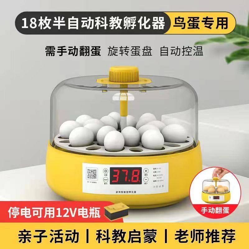 小型家用孵化机智能全自动小鸡芦丁鸡孵化器幼儿科教生命启蒙,淘宝优惠券,粉丝福利购,淘宝优惠卷