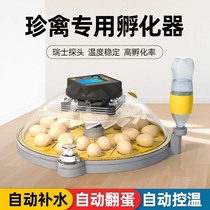 Small Flying Saucer Hatchery Hatching Box Small Home Intelligent Fully Automatic Luding Chicken Parrot Bird Eggs Small Chicken Incubators