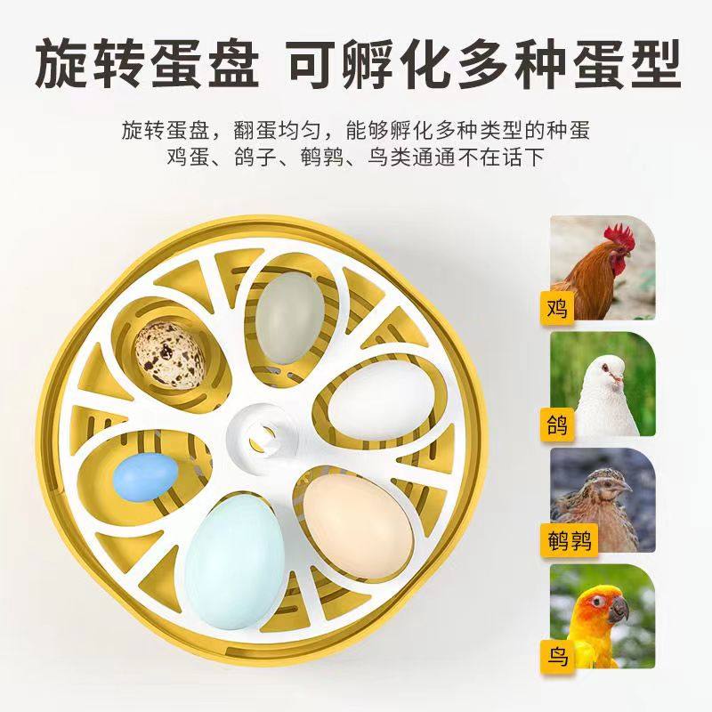 小型家用孵化机智能全自动小鸡芦丁鸡孵化器幼儿科教生命启蒙,淘宝优惠券,粉丝福利购,淘宝优惠卷