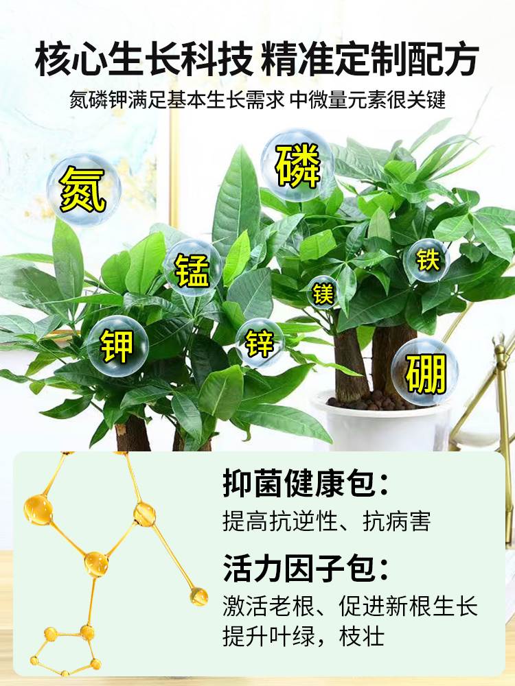 免稀释发财树专用营养液花肥料室内盆栽植物金钱树花卉绿植喷施肥-图2