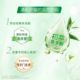 Haolai Fresh Breath Tea Beijian Tea Fragrance Toothpaste