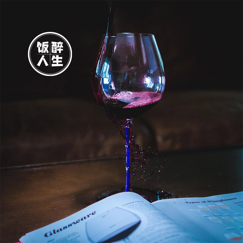 饭醉好物|嘿皮诺Riedel红酒杯璀璨棱镜领结勃艮第杯黑皮诺手工杯 - 图2