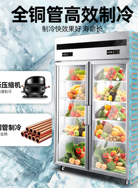 喜莱盛冷冻蔬菜厨房商用冰柜
