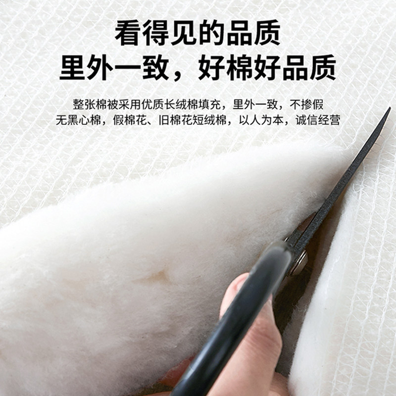 【新疆年货节】忆恋莱新疆棉花被加厚保暖纯棉被芯被子冬被棉絮,淘宝优惠券,粉丝福利购,淘宝优惠卷