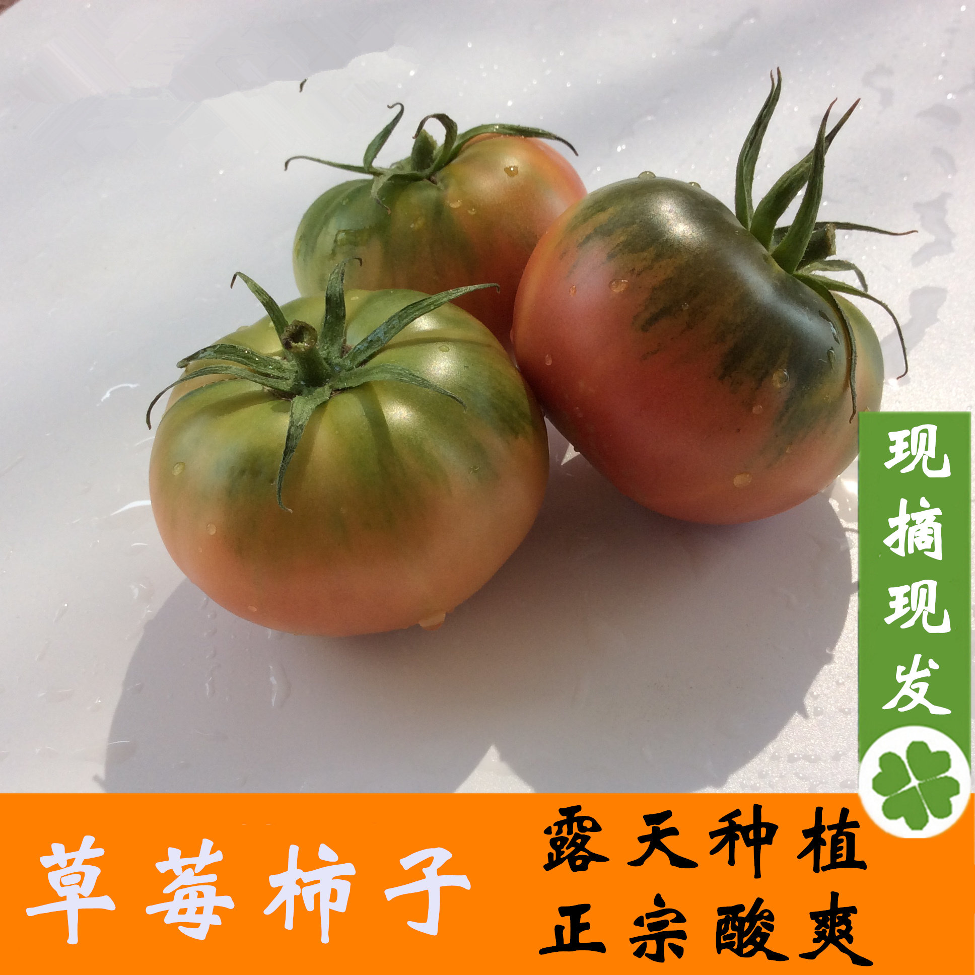 正宗草莓番茄铁皮柿子西红柿新鲜当季水果露天种植3-5斤现摘包邮,淘宝优惠券,粉丝福利购,淘宝优惠卷