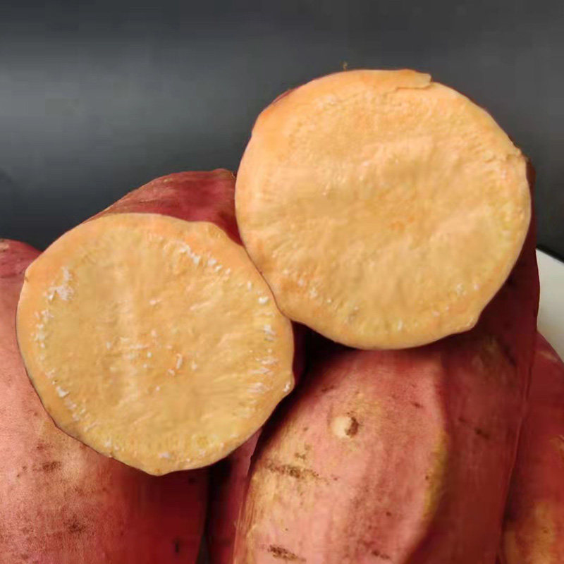 烟薯25号糖心新鲜10斤农家自种番薯 祝岗食品番薯