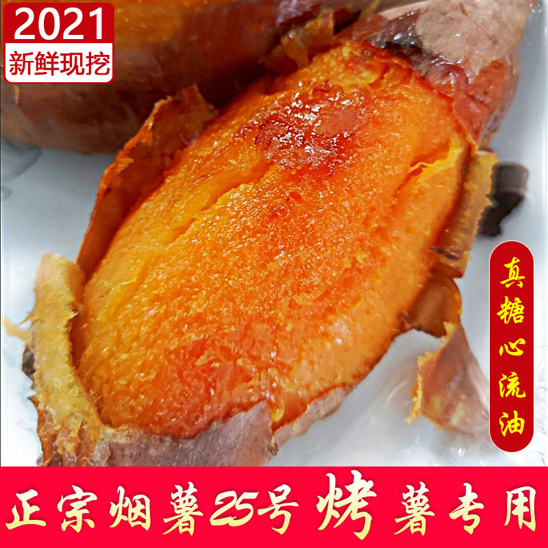 烟薯25号糖心新鲜10斤农家自种番薯 祝岗食品番薯