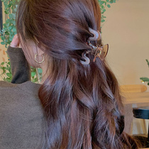 South Korea Grab Clip Advanced sensation hairpin Rear Brain Spoon Disc Hair without scar Shark Clip Headwear Temperament 2023 New