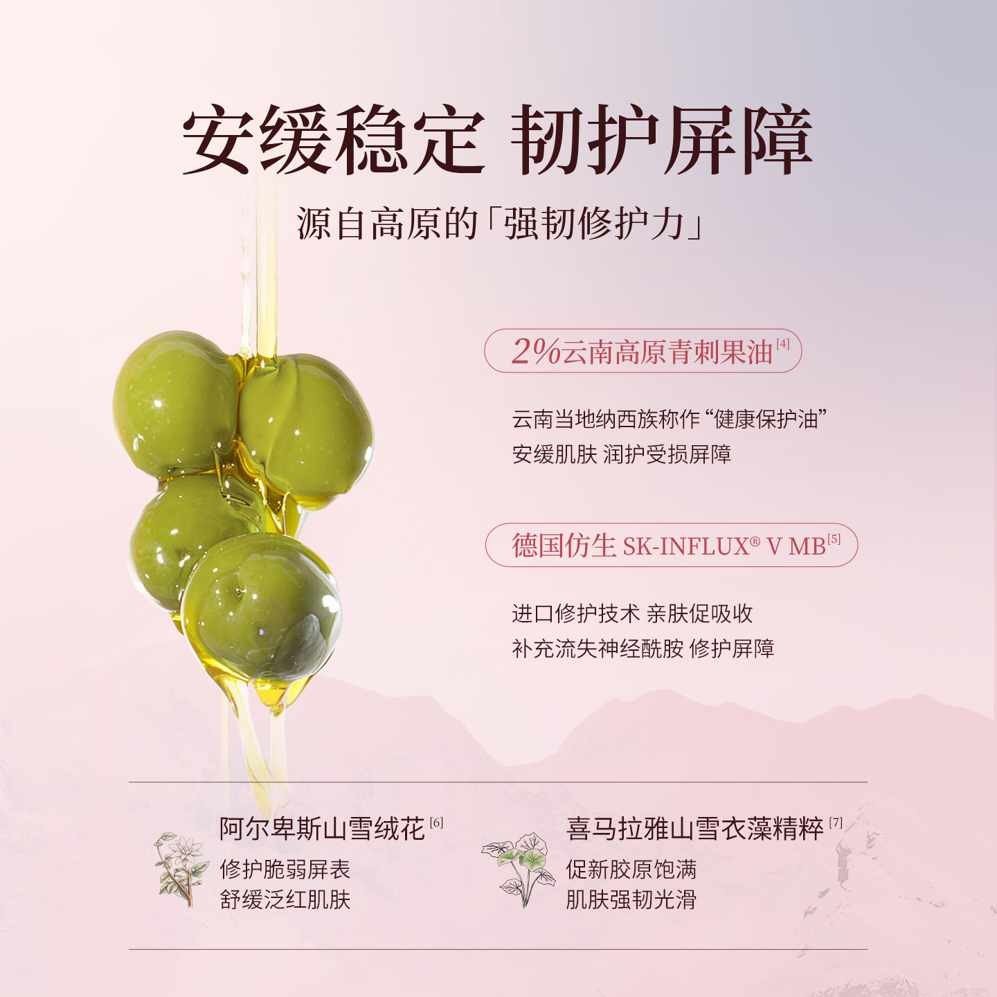 【葡萄新香】aarye安野屋花开植萃倍润香氛身体乳美白修护保湿
