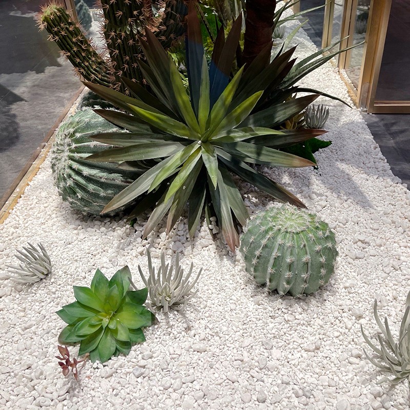 仿真仙人掌绿植热带造景植物组合北欧风室内落地盆栽装饰软装摆件