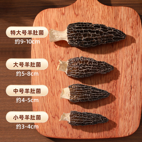 北海印象羊肚菌食用菌当季羊肚菇煲汤新货特产菌菇500g厚实无硫 - 图3