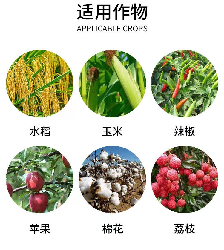 虫螨腈虱螨脲甲维高氯氟花卉果树甜菜夜蛾卷叶螟小菜蛾农药杀虫剂 - 图1