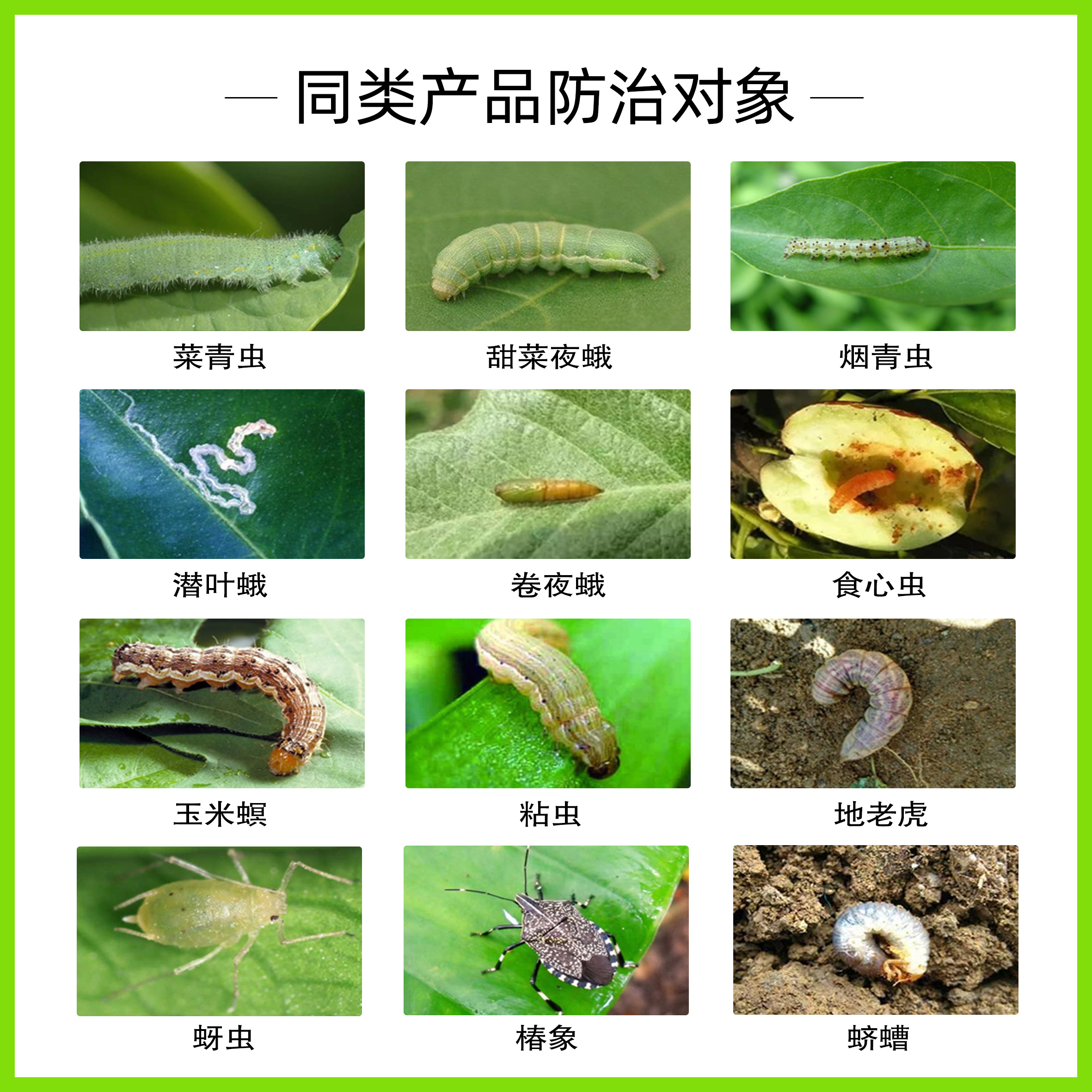 高效氯氟氰菊酯蔬菜青虫果树农药土壤地下害虫花卉蚜虫杀虫剂农用 领优惠券 购物更便宜 发现时尚