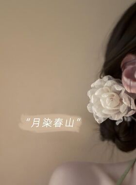 花夹头发的夹子新款氛围