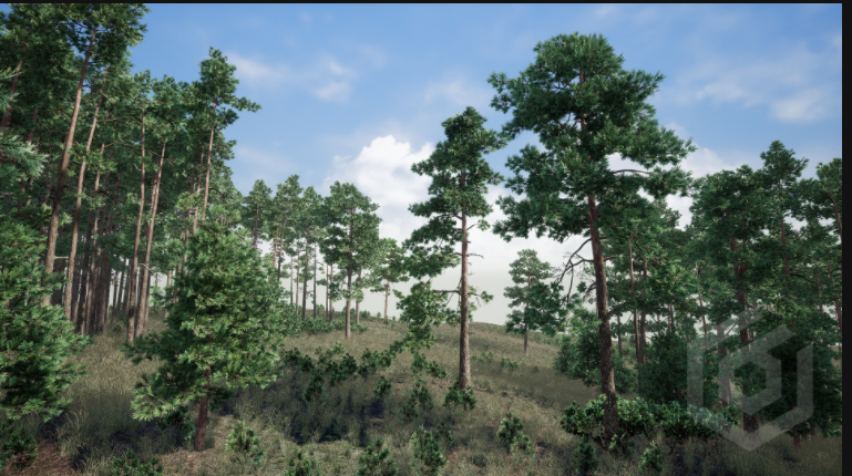 UE4森林松树树木UE5植物道具Trees Pine Tree - 图0