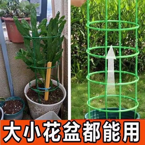 植物支架通用型花架拼接园艺兰花莲花花架子支撑杆内防掉爬藤架 - 图0