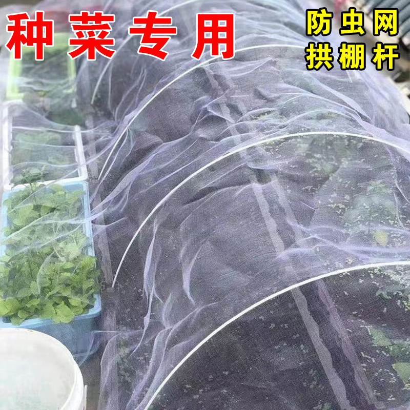 种菜防虫网菜园楼顶种菜专用纱网加厚户外种植大棚防虫拱棚网罩 - 图3