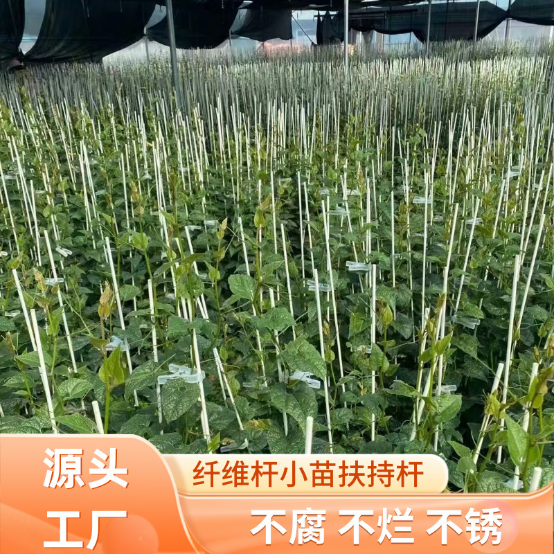 花卉支撑小苗番茄子大棚玻璃纤维菜地拱棚固定棚架爬藤网植物豆角 - 图3