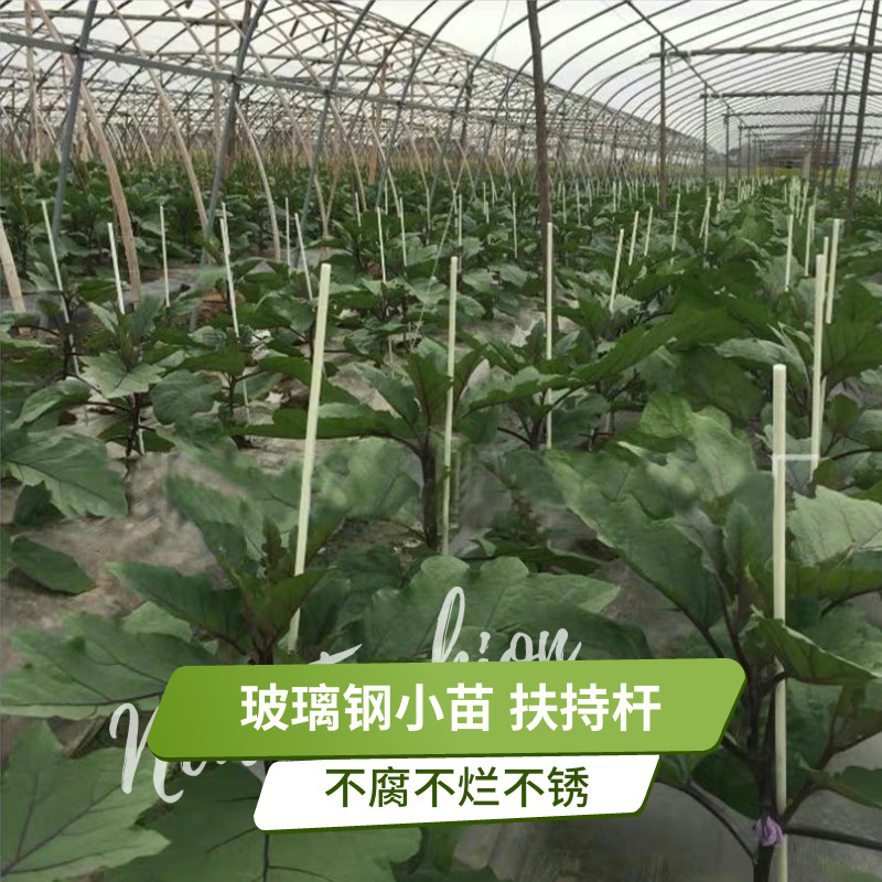 花卉支撑小苗番茄子大棚玻璃纤维菜地拱棚固定棚架爬藤网植物豆角 - 图1