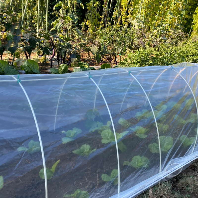 菜园保温棚 家用小型蔬菜大棚 家用蔬菜棚 种菜保温棚 蔬菜保温棚
