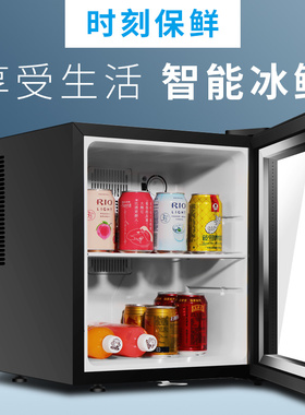 温纳美带锁透明冰箱食品留样冷藏