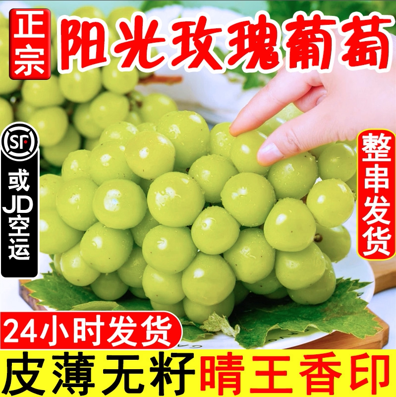 グリーン系品揃え豊富で 新品未開封 葡萄 邦楽 Cdグリーン系 6 767 Laeknavaktin Is