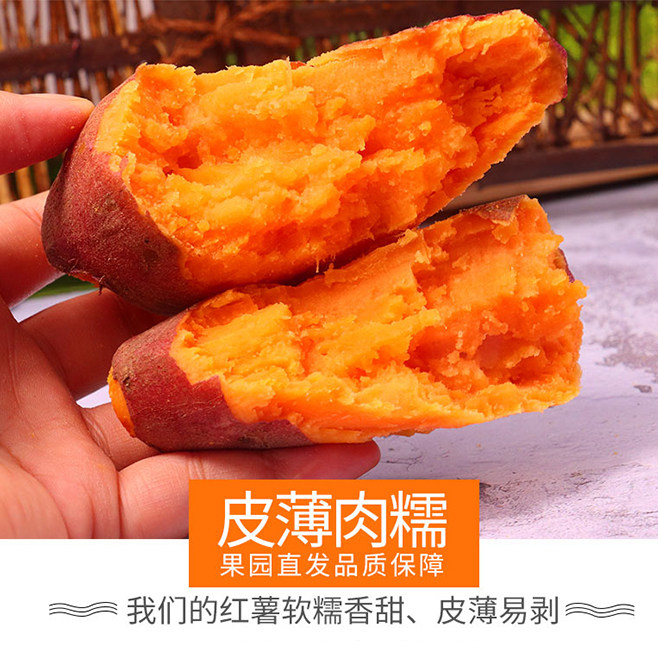 蜜薯9斤包邮沙农家黄心新鲜红薯 天之衍番薯