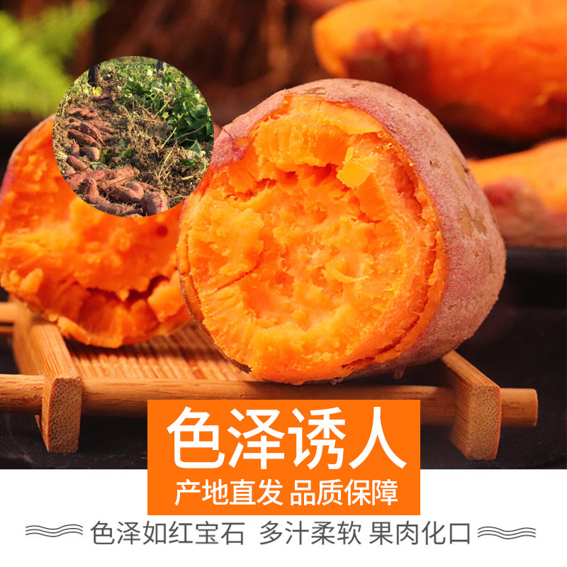 蜜薯9斤包邮沙农家黄心新鲜红薯 天之衍番薯