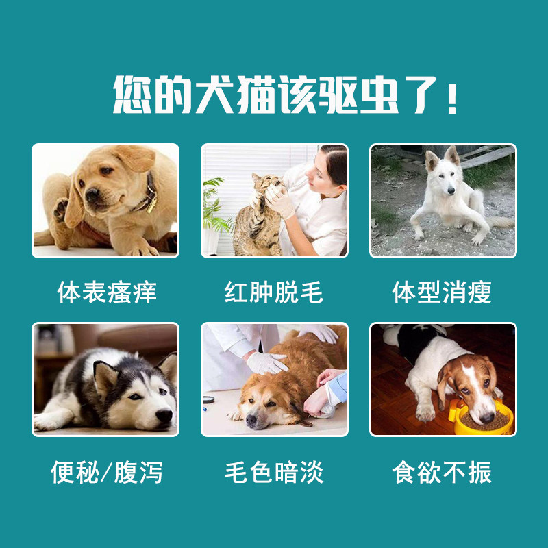 宠物体内外一体驱虫滴剂3支/盒杰维士驱虫药猫咪狗狗犬通用旗舰店,淘宝优惠券,粉丝福利购,淘宝优惠卷