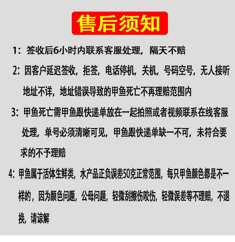 外塘小甲鱼苗鳖苗鲜活体包邮童子鳖马蹄鳖卤味甲鱼火锅食材水鱼团-图0