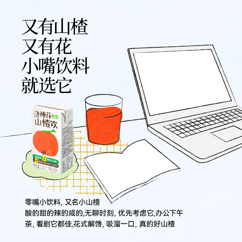 【百亿补贴】好望水洛神花山楂饮风味果汁饮料果味饮品125ml*4 - 图3