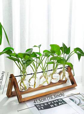 创意木架水培绿萝玻璃花瓶容器客厅办公室桌面现代摆件装饰品五瓶