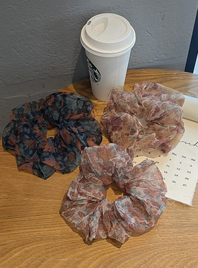 雅如初饰品小众大肠发圈法式