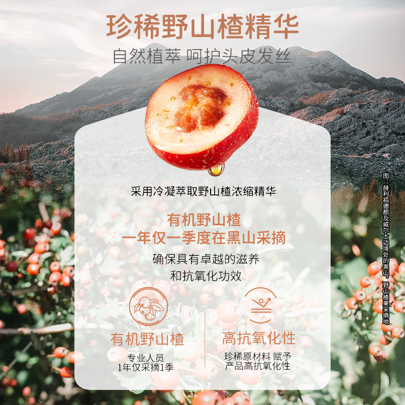 Dandydillway英国进口儿童无硅油洗发水温和去屑顺滑男女孩洗发露