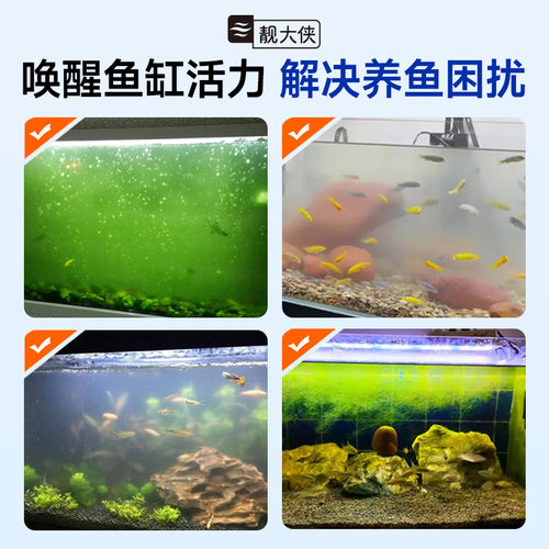 硝化细菌鱼缸专用消化液鱼池净水质稳定清澈剂硝化活菌分解鱼粪便 - 图1