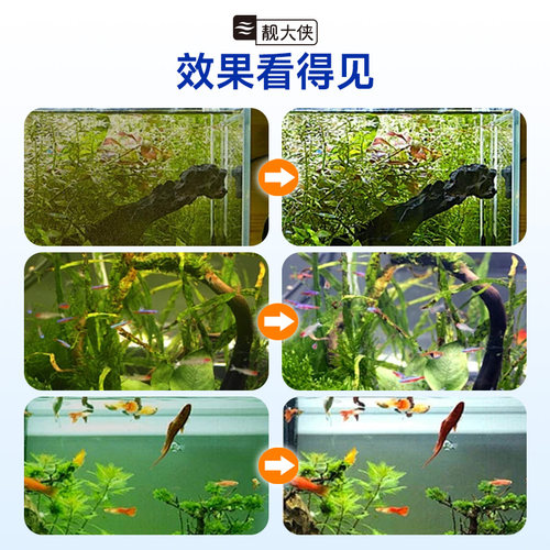 硝化细菌鱼缸专用消化液鱼池净水质稳定清澈剂硝化活菌分解鱼粪便 - 图2