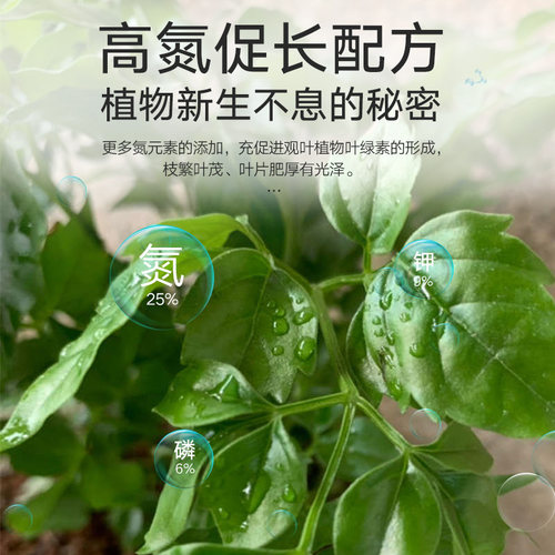 史丹利幸福树专用颗粒肥料花肥绿叶盆景盆栽营养液黄叶室内绿植施 - 图0