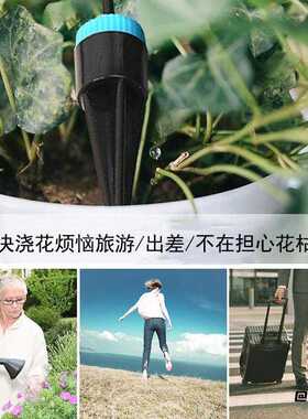 套件家用浇水养花懒人浇花工具农用10个头滴水套件浇花器浇花器
