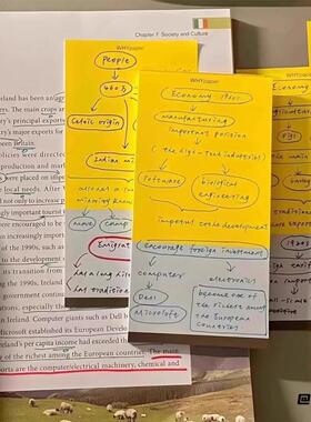 长款ins留言纸撞色长款黄色便签韩系学生高颜值手账可撕日记