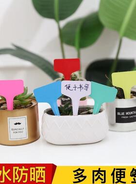 牌子标识花卉专用园艺插牌植物标签多肉加厚防晒塑料指示防水
