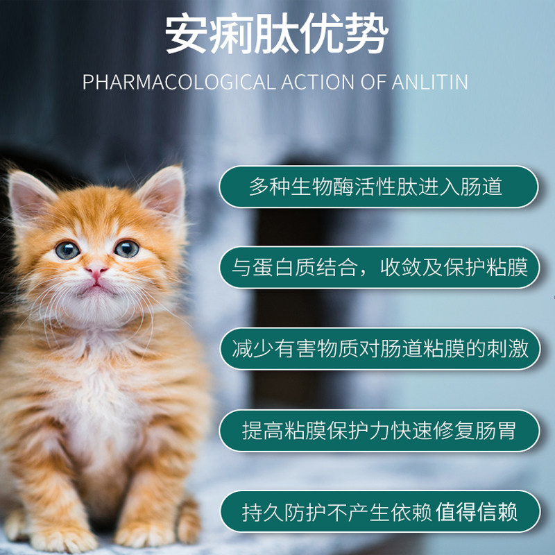 安痢肽宠物猫咪呕吐腹止泻宠物狗猫_狗狗拉稀呕吐猫咪拉稀呕吐便血肠胃 
