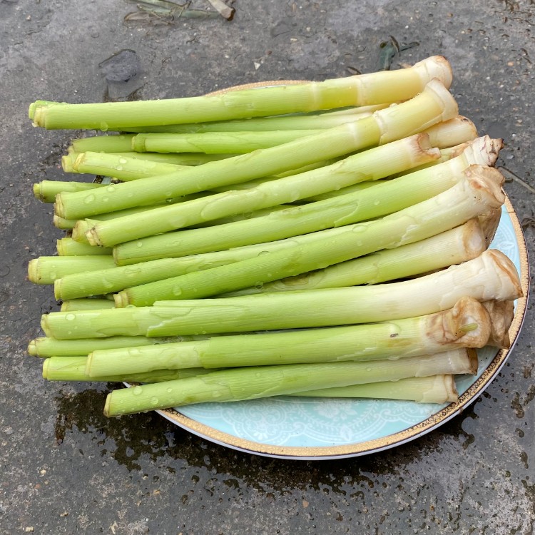 湖北特产石首华容监利新鲜蔬菜柴笋子芦苇笋野菜财笋荻笋火锅食材 - 图1