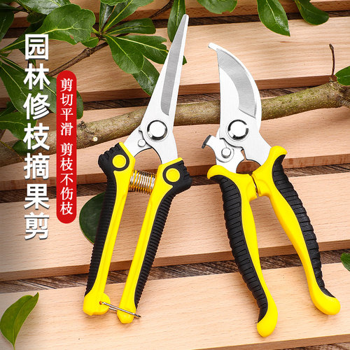 花剪枝园艺剪刀修枝剪省力修剪树枝果树竹签园林花卉专用花艺剪子 - 图0