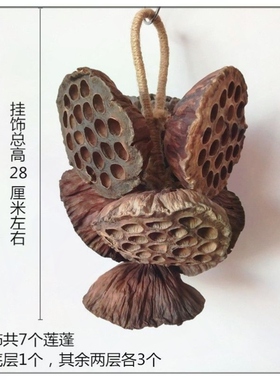 天然松果松球莲蓬干花墙壁装饰墙面挂饰客厅环创森系植物创意家居