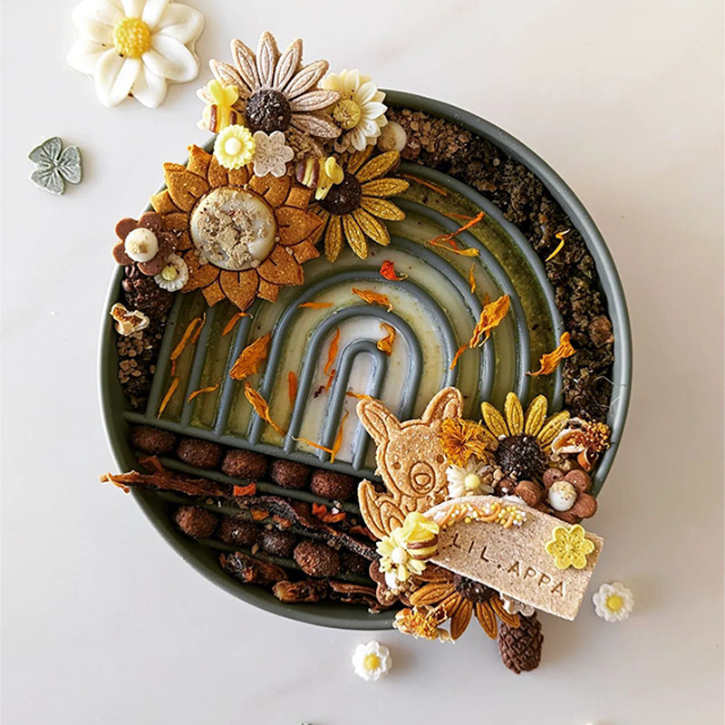 宠物硅胶慢食碗猫咪狗狗喂食碗舔食垫缓食益智丰容玩具吸盘防打翻,淘宝优惠券,粉丝福利购,淘宝优惠卷