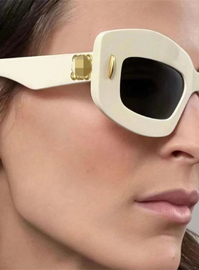 欧洲站新品高级感时尚太阳眼镜 欧美网红明星同款板材方框墨镜女