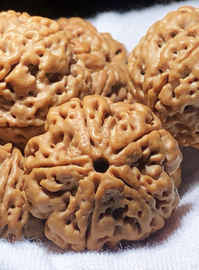 极速尼泊尔爆肉五j六56瓣大金刚菩提子手串文玩佛珠男士单圈原籽